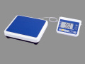 �ǥ������νŷס�WP-110S���ѥ졼�ȷ�