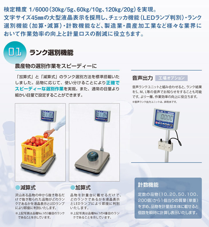 高精度デジタル台はかり DP-6800