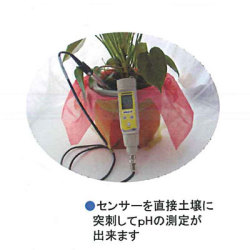 PHテスターSoil PHSoil